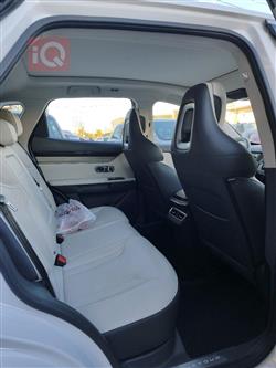 جيتور داشينج